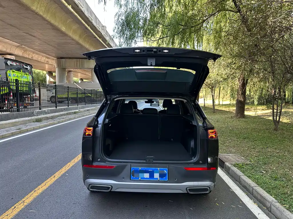 Volkswagen Tavendor — миниатюра 14