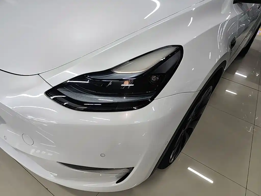 Tesla Model Y — миниатюра 24