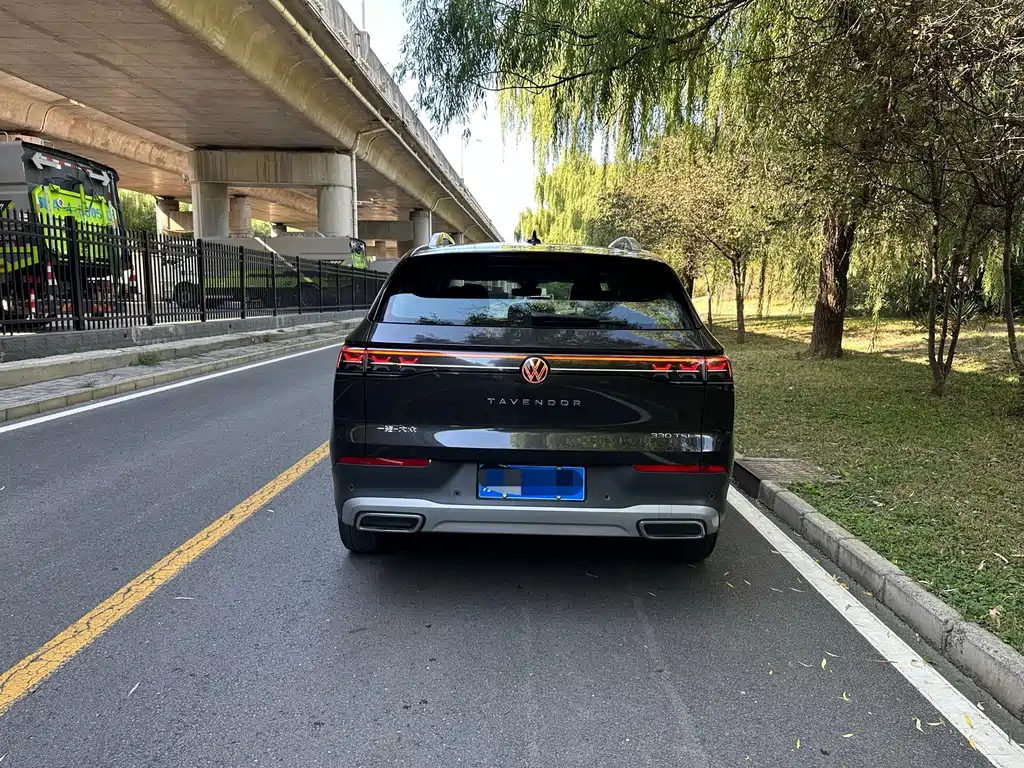 Volkswagen Tavendor — миниатюра 5