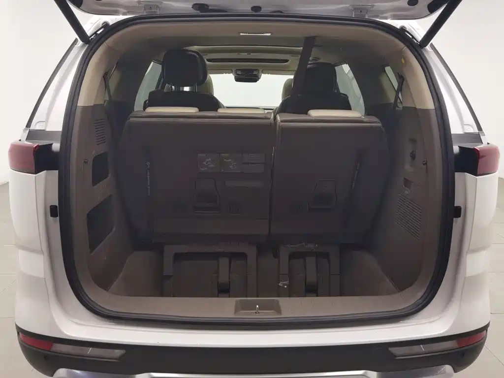 Kia Carnival — миниатюра 16
