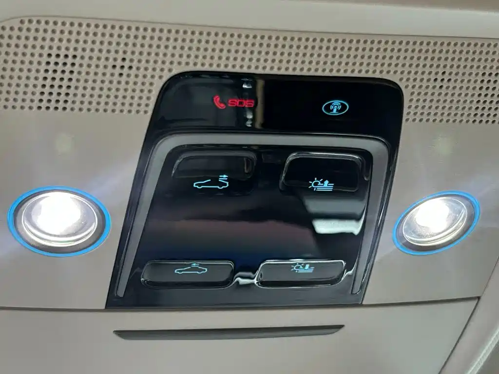 Denza Denza D9 — миниатюра 12