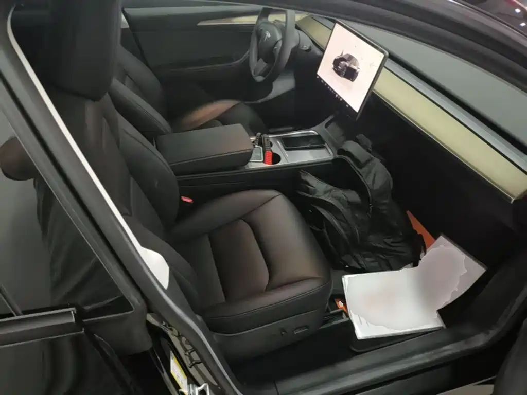 Tesla Model Y — миниатюра 25