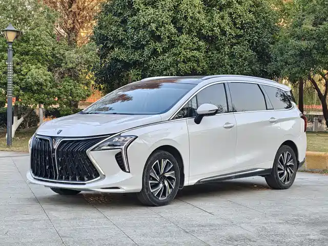 DONGFENG POPULAR YACHTS