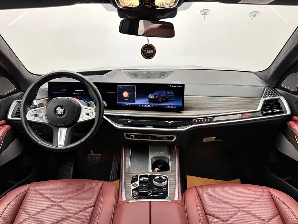 BMW X5 — миниатюра 10