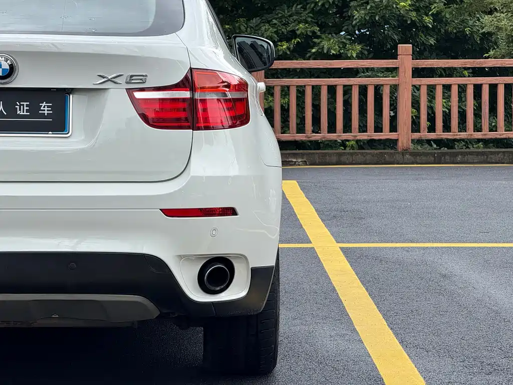 BMW X6 — миниатюра 21