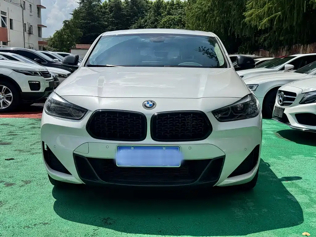 BMW X2 — миниатюра 2