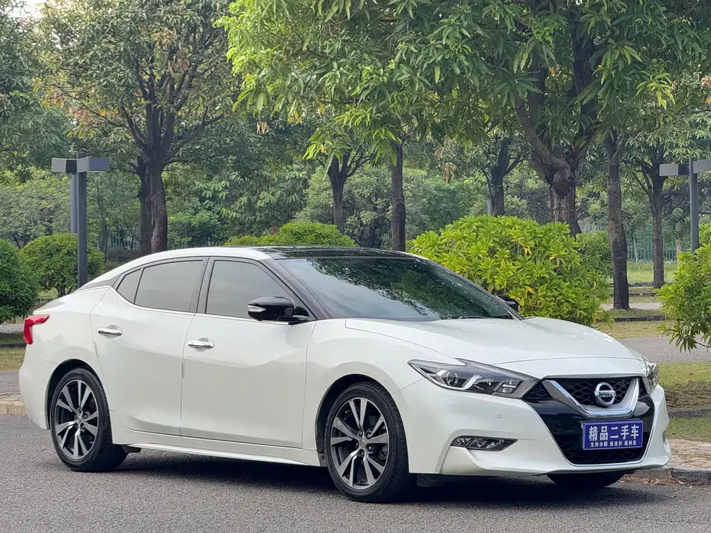 Nissan Cima — миниатюра 3