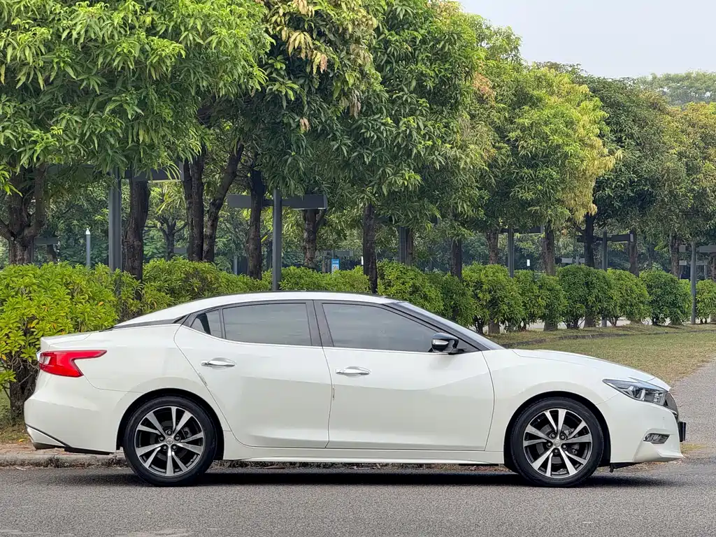 Nissan Cima — миниатюра 17