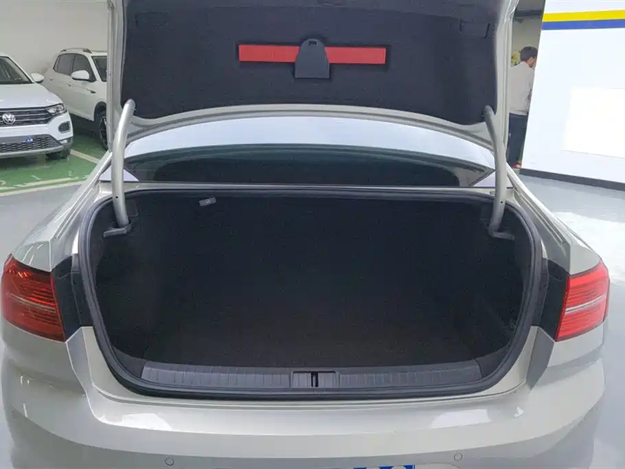 Volkswagen Magotan 2019 330TSI DSG Luxury VI
