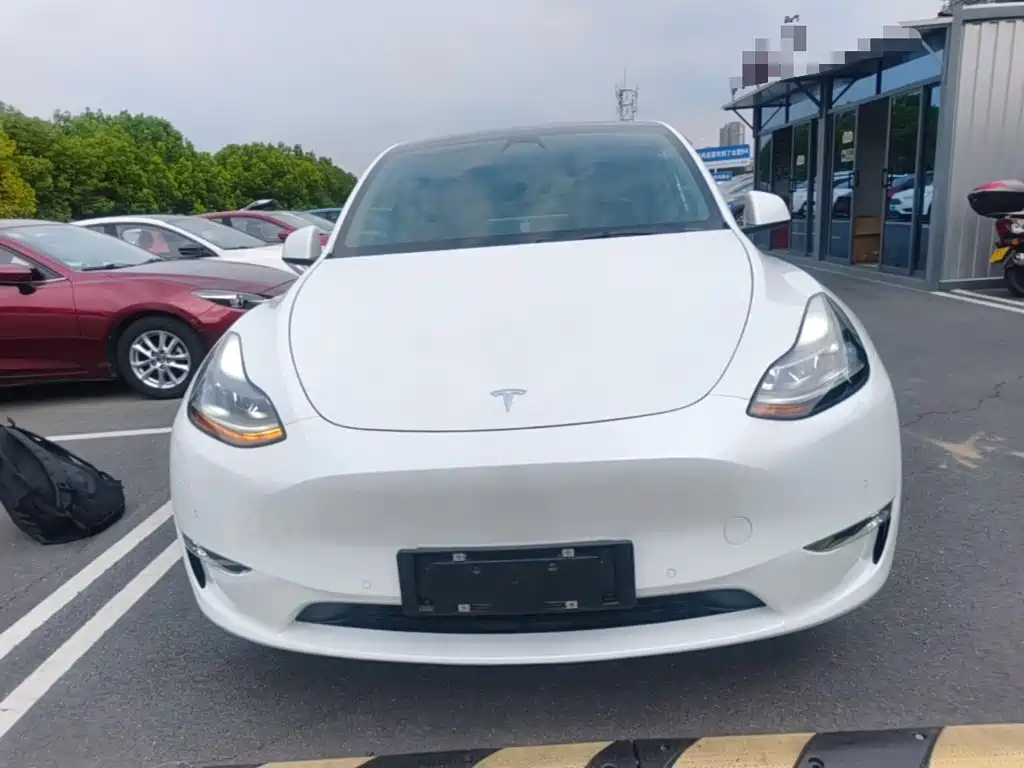 Tesla Model Y — миниатюра 3