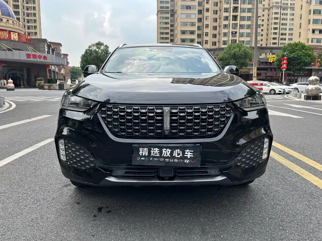 Wey Wey VV6 — миниатюра 2