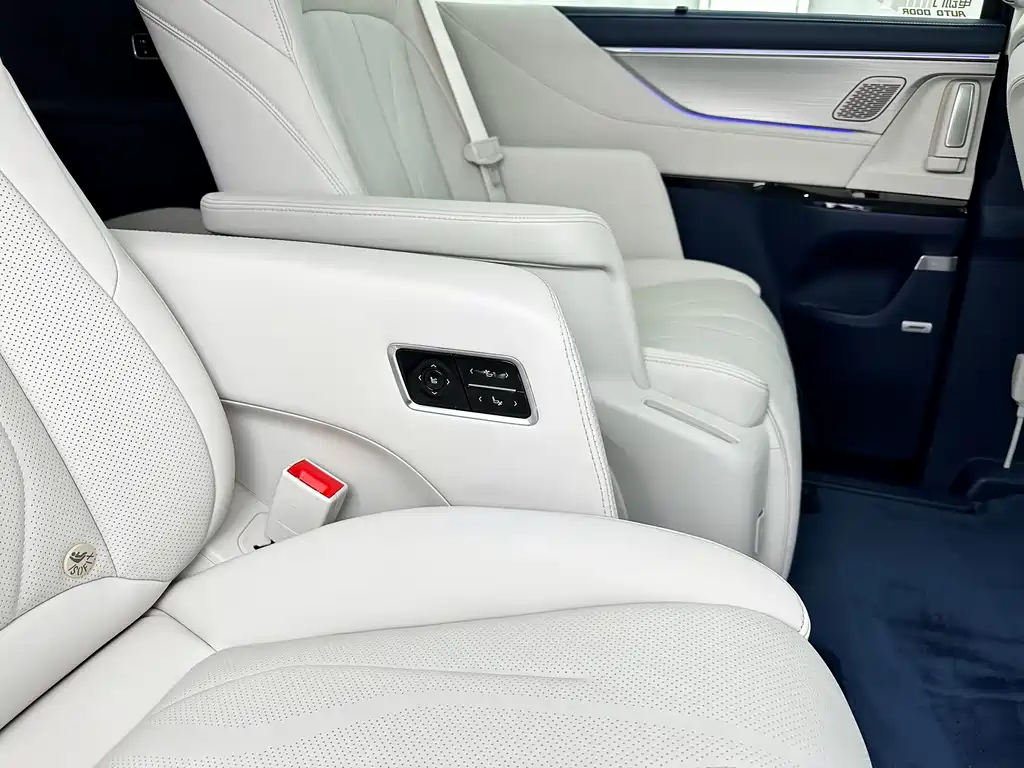 BUICK GL8 NEW ENERGY