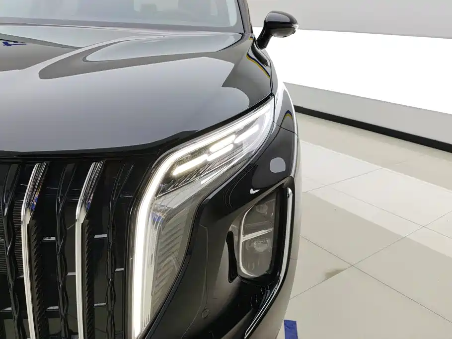 Hongqi Hongqi HS7 PHEV — миниатюра 5