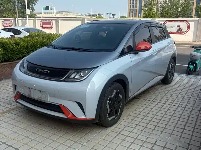 BYD Dolphin