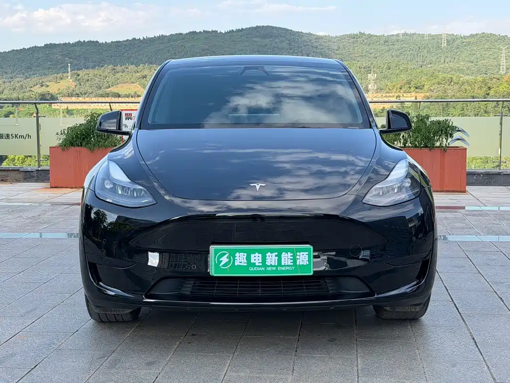 Tesla Model Y — миниатюра 2