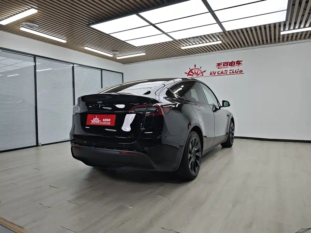 Tesla Model Y — миниатюра 4