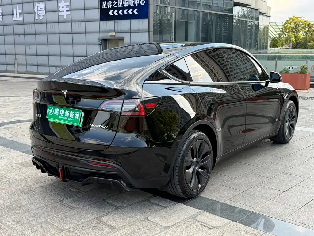 Tesla Model Y — миниатюра 12