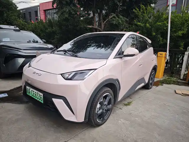 2024 BYD Seagull