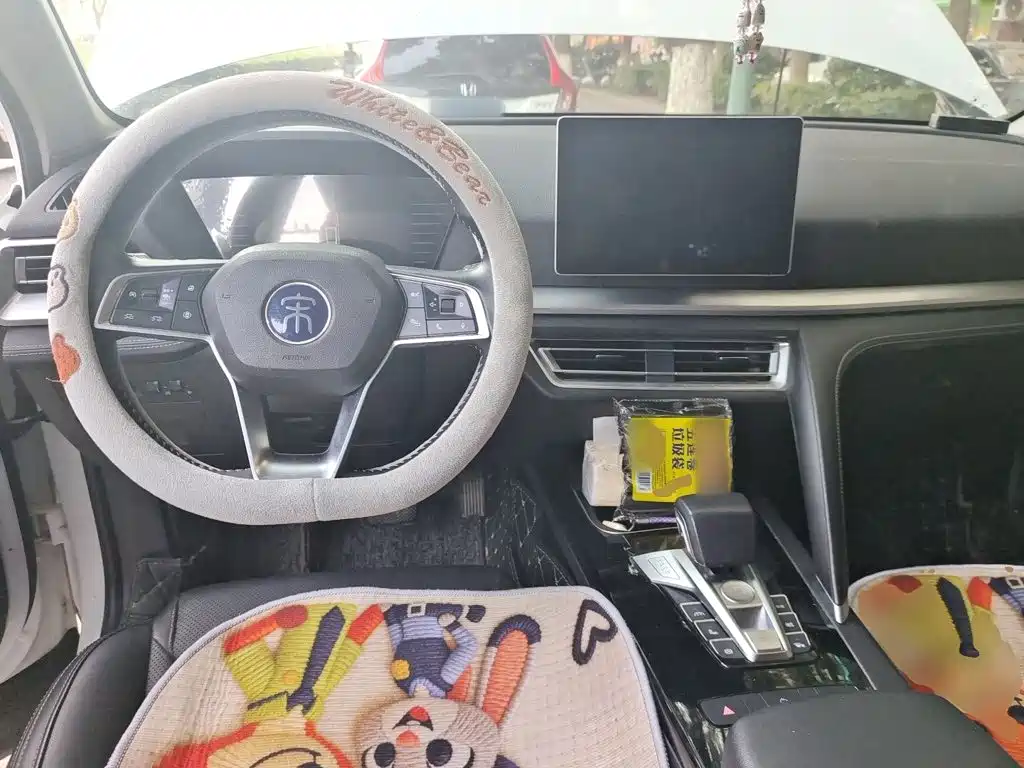 BYD Pro — миниатюра 10