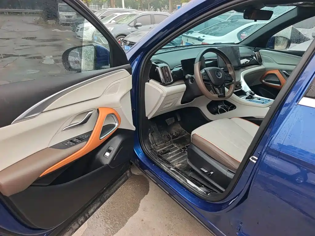 BYD Pro New Energy — миниатюра 16