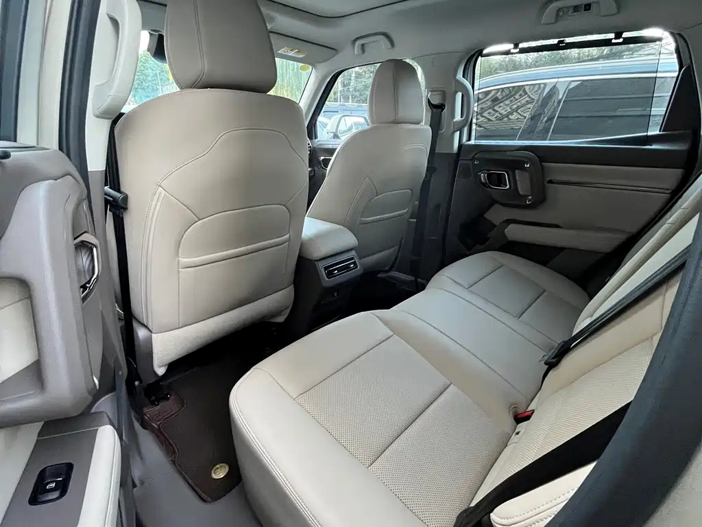 Haval Big Dog PLUS — миниатюра 4