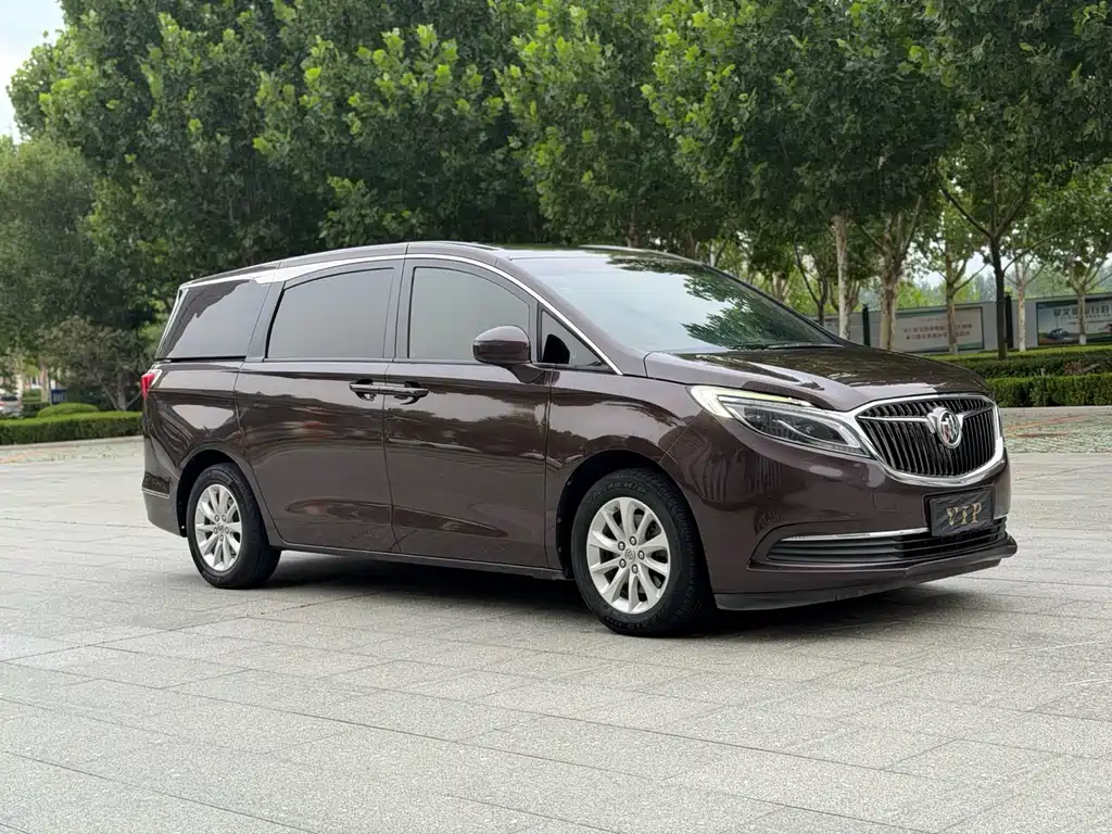 Buick GL8 — миниатюра 3