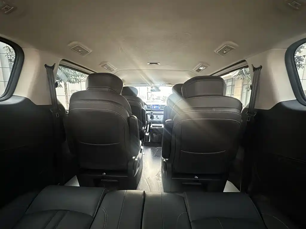 SAIC MAXUS CHASE G10