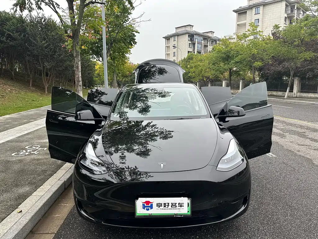 Tesla Model Y — миниатюра 14