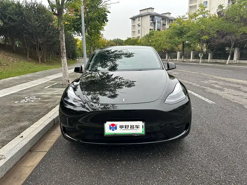 Tesla Model Y — миниатюра 9