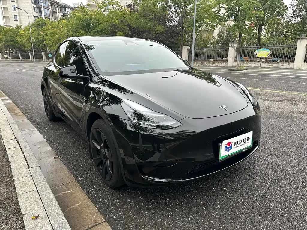 Tesla Model Y — миниатюра 10