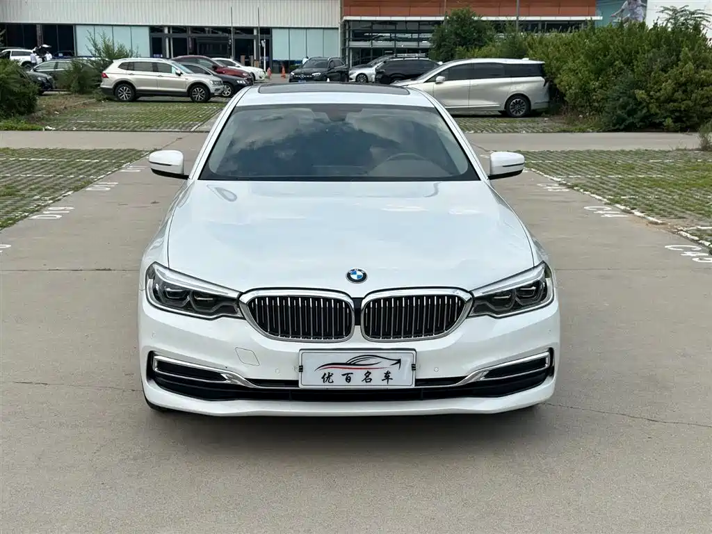 BMW 5 Series 5 2020 530Li Lead Luxury