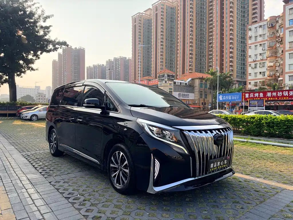 GAC Motor Trumpchi M8 — миниатюра 3