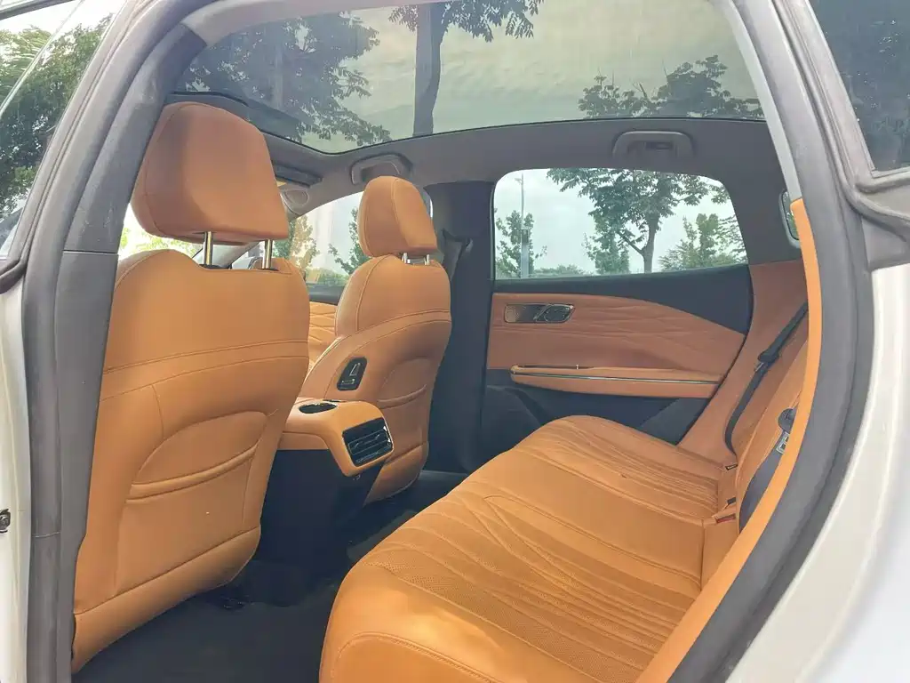Geely Galaxy Galaxy 8 8 2025 130km EM-i Luxury