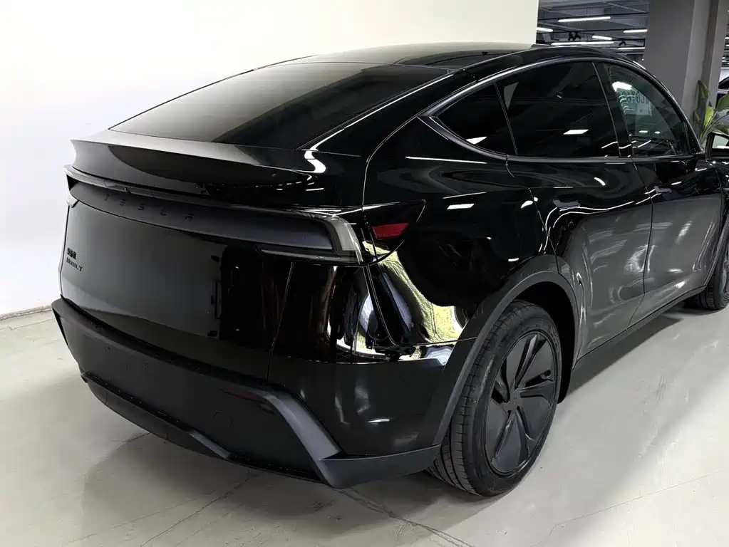 Tesla Model Y — миниатюра 7