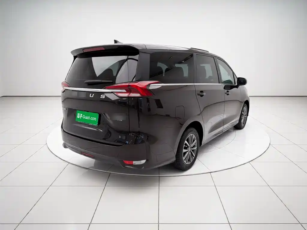 MAXUS G50 — миниатюра 6