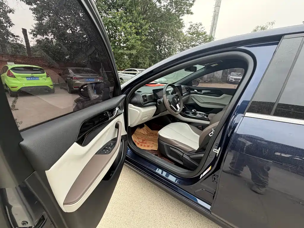 BYD Qin Plus PLUS 2024 DM-i 55KM Lead