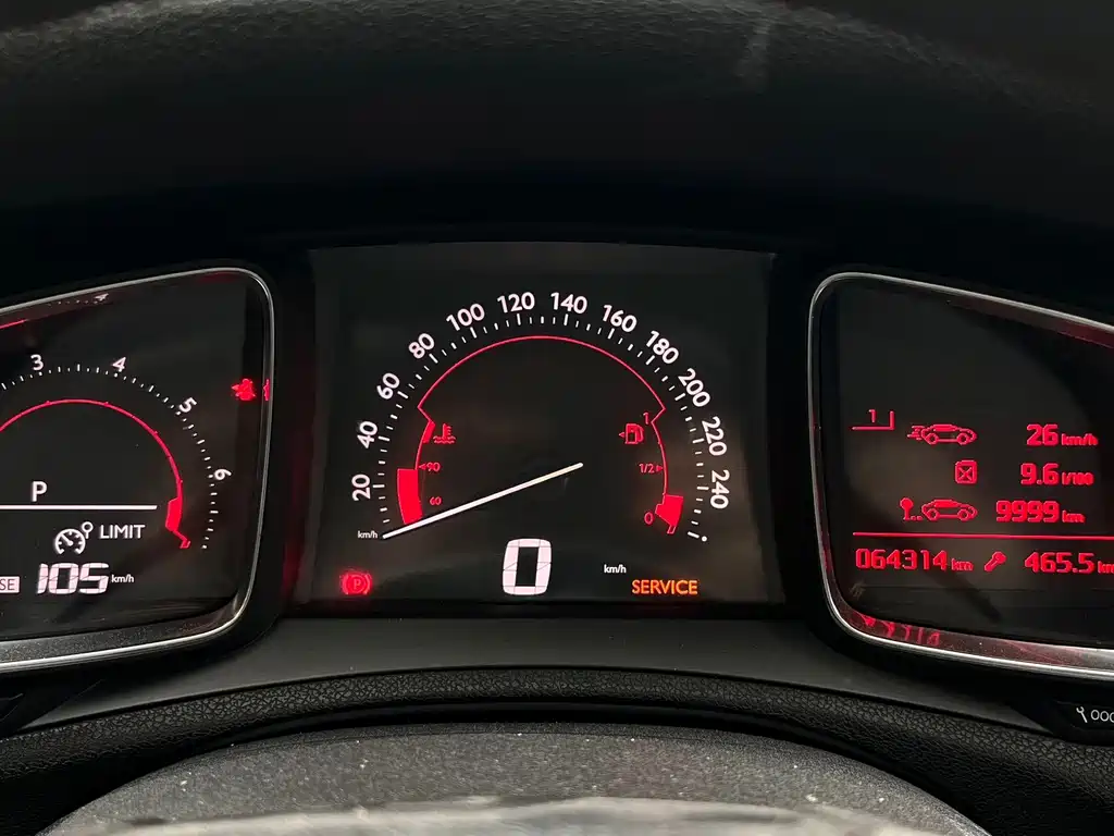 DS DS 5LS — миниатюра 8