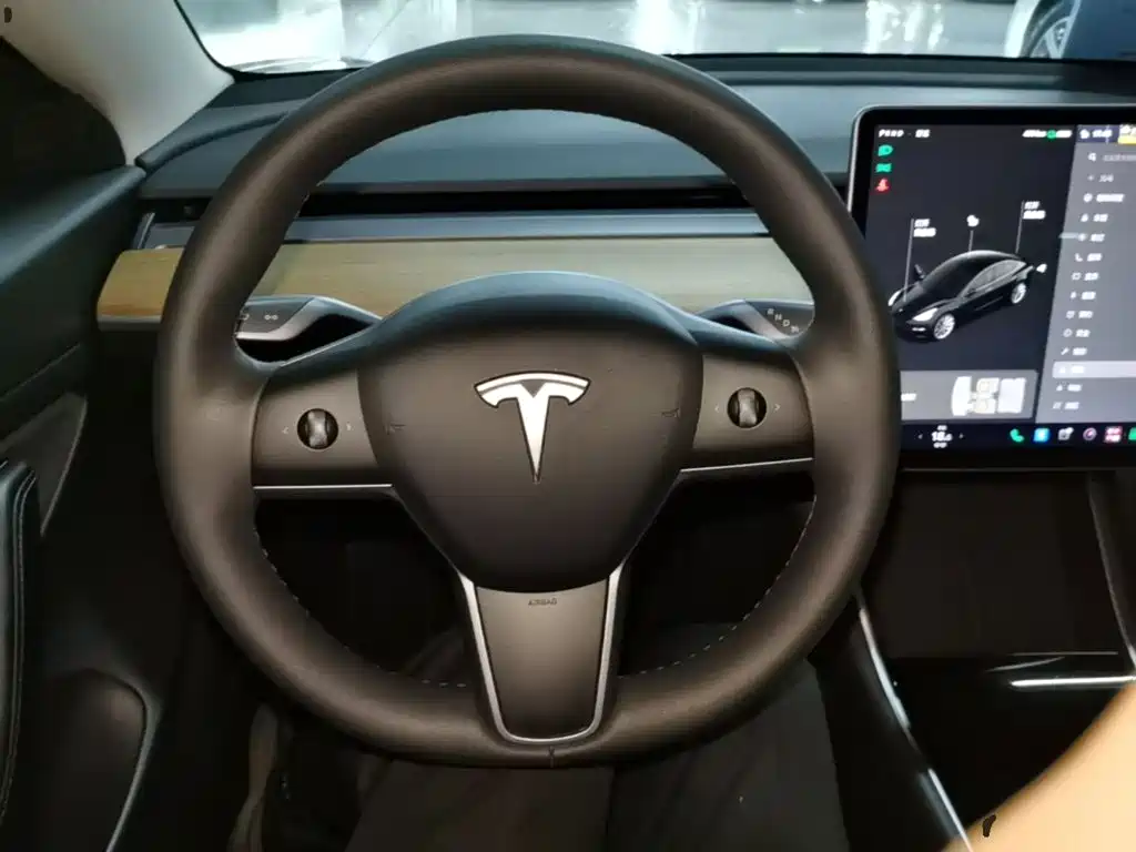 Tesla Model 3 — миниатюра 11