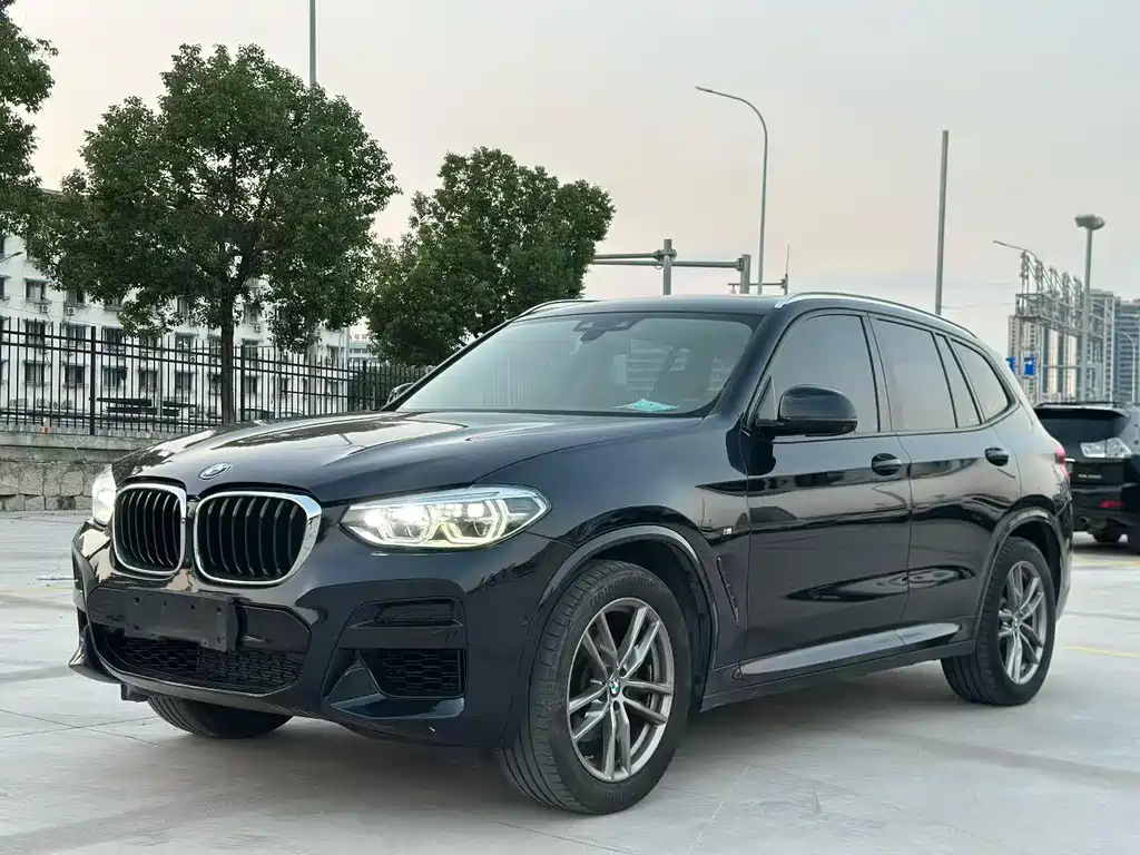 BMW X3 — миниатюра 3