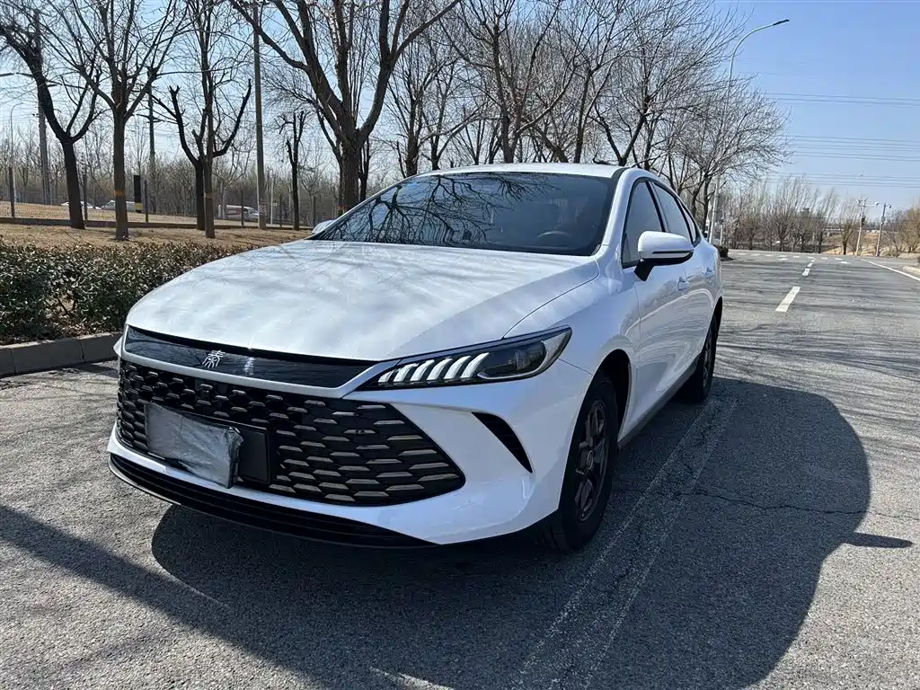 Byd Qin PLUS 2025