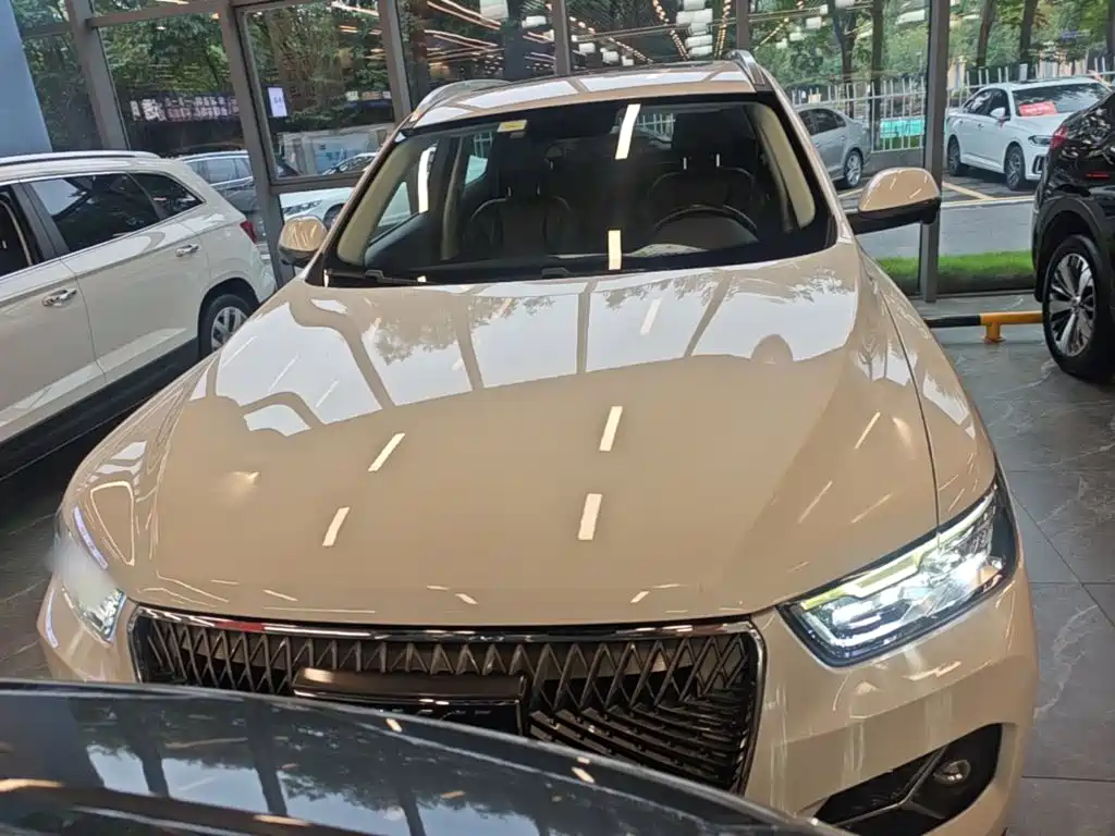 Haval H6 — миниатюра 3
