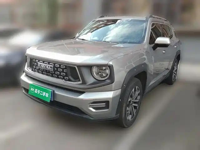 2024 Haval Big Dog