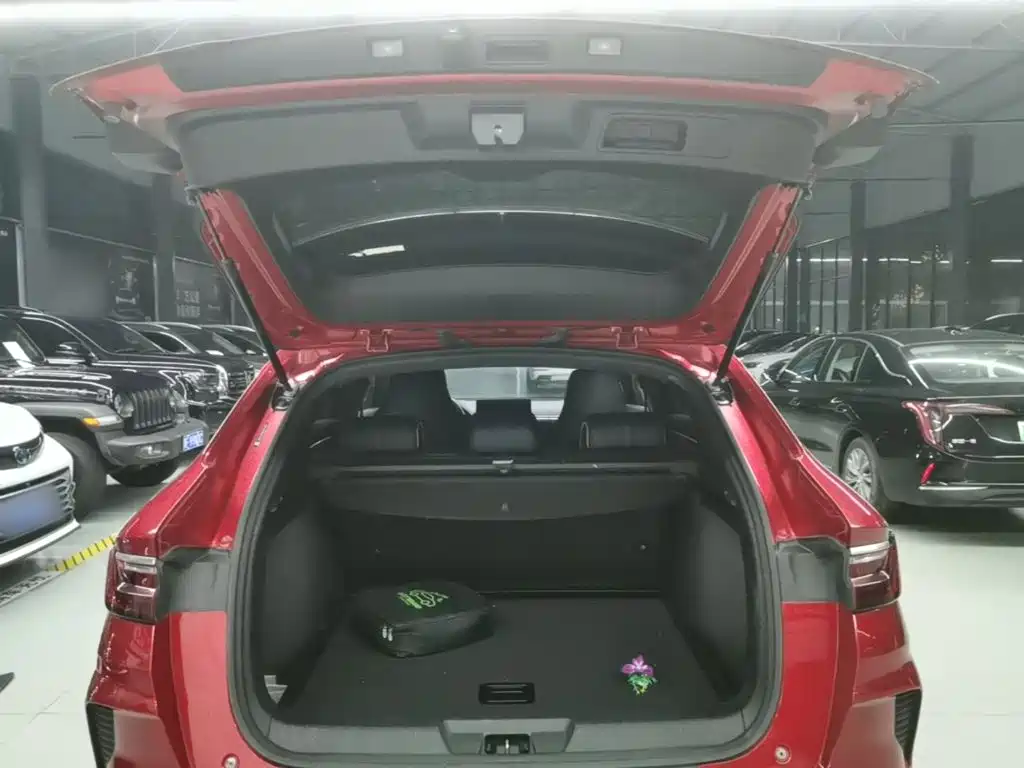 BYD PLUS New Energy — миниатюра 19