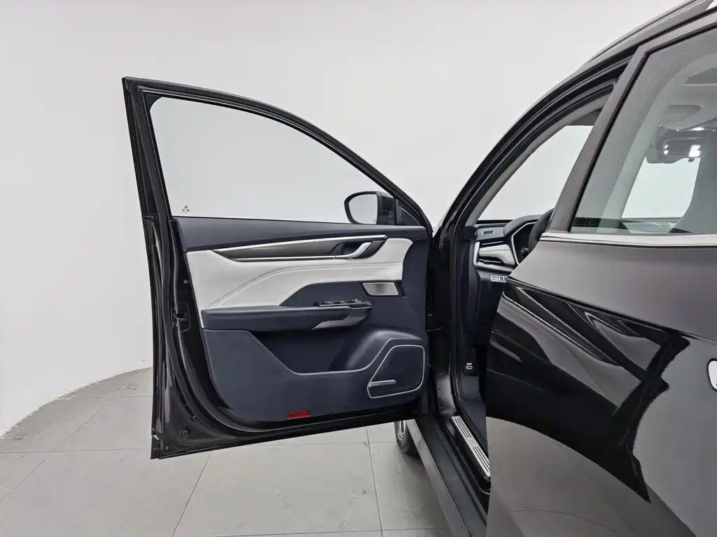 WM Motor EX5 — миниатюра 8