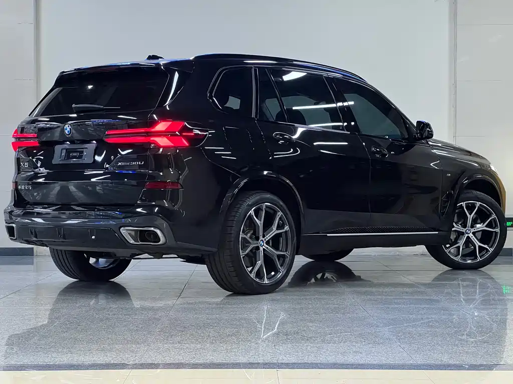 BMW X5 — миниатюра 6