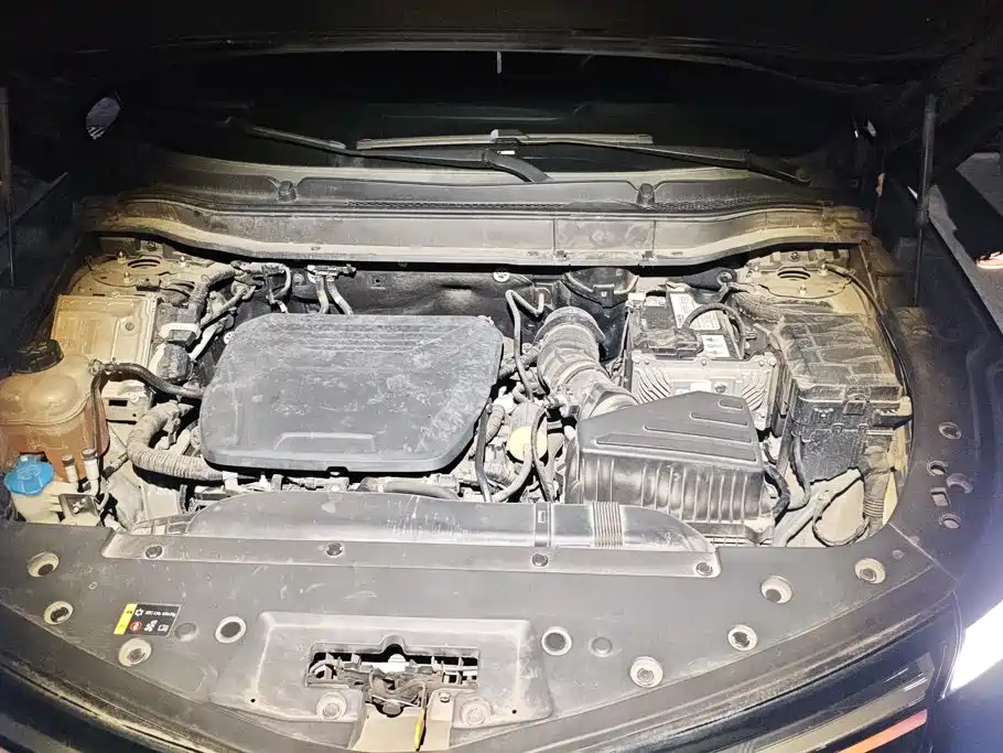 Haval Shenshou — миниатюра 10