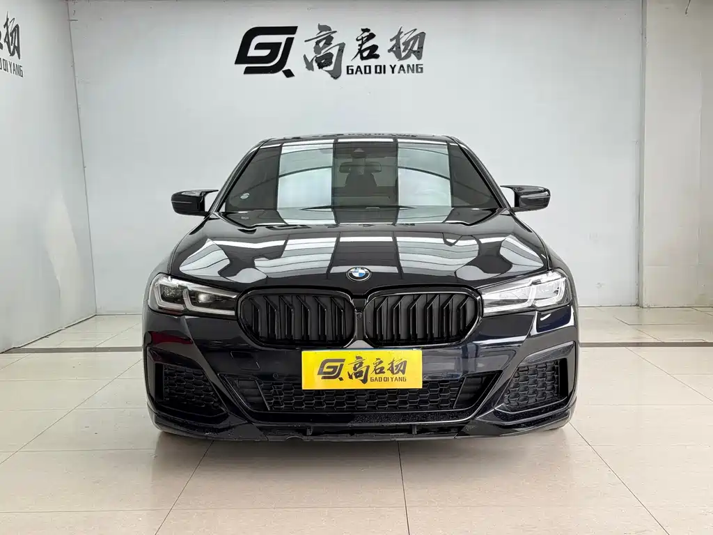 BMW 5 Series (Import) — миниатюра 2