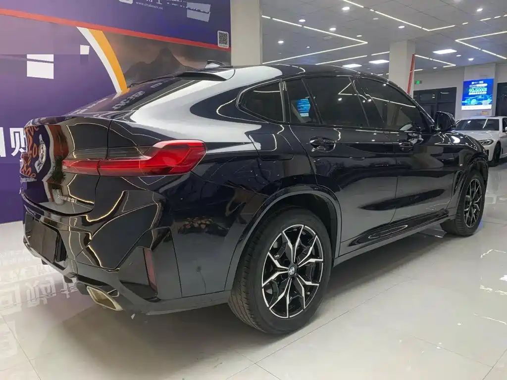 BMW X4 — миниатюра 3