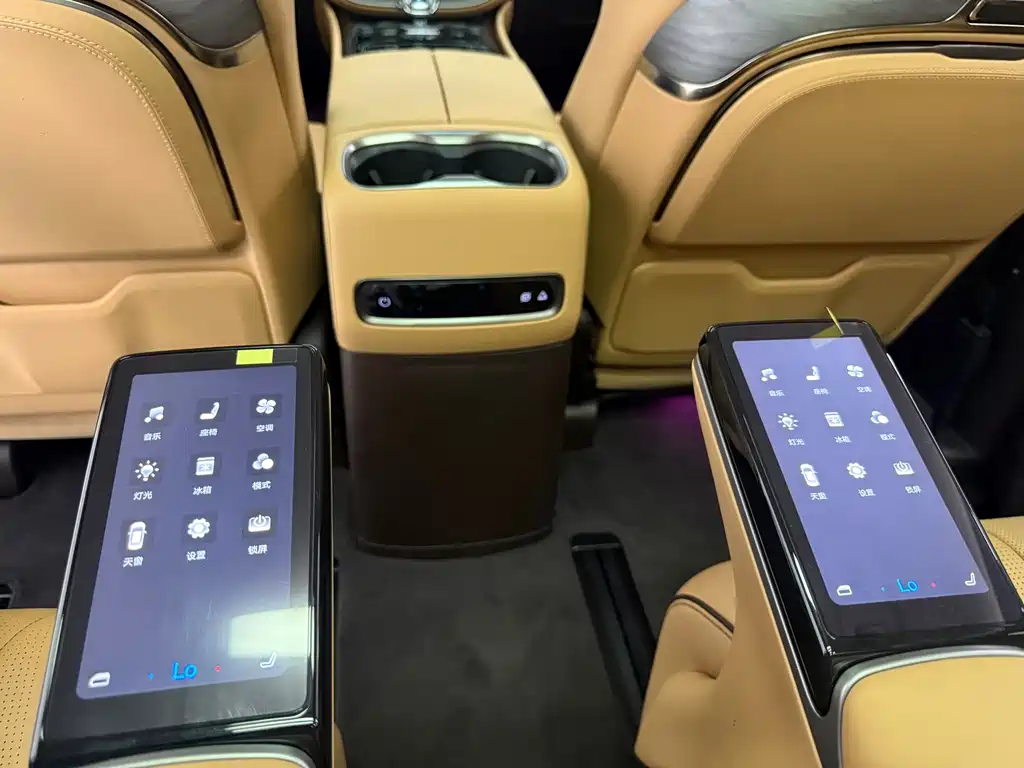 Denza Denza D9 — миниатюра 18