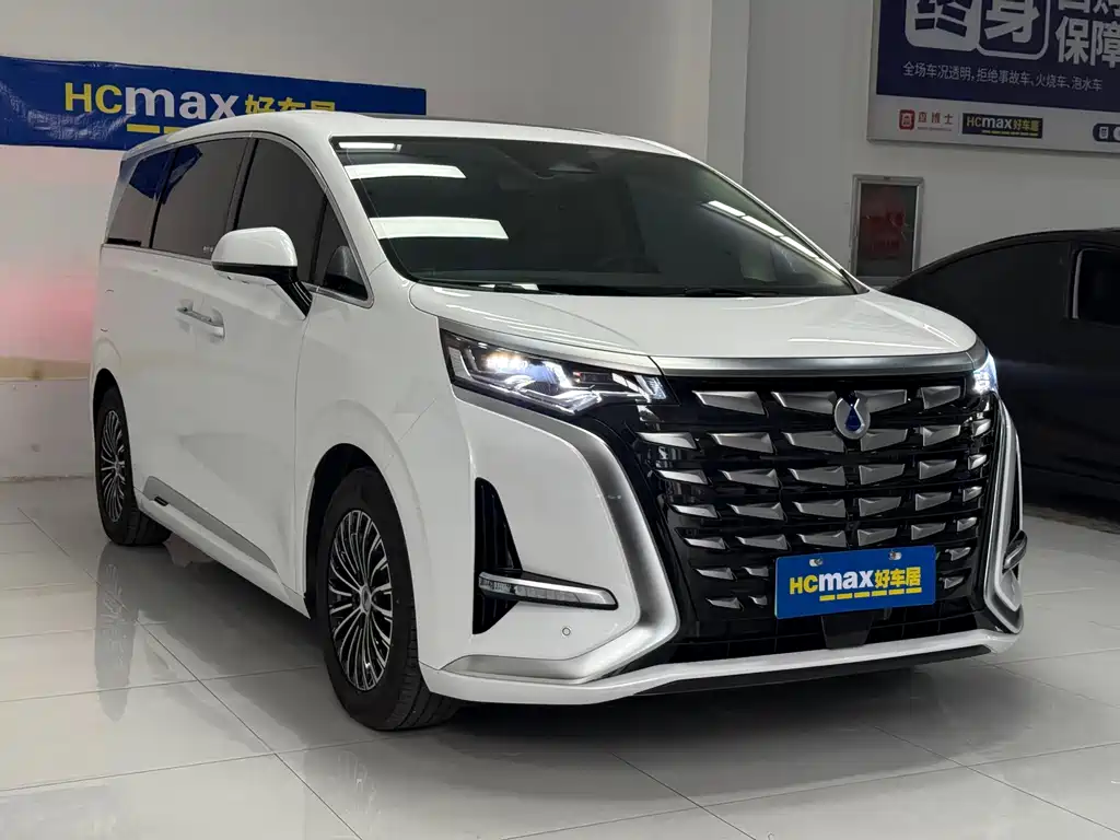 Denza Denza D9 — миниатюра 3